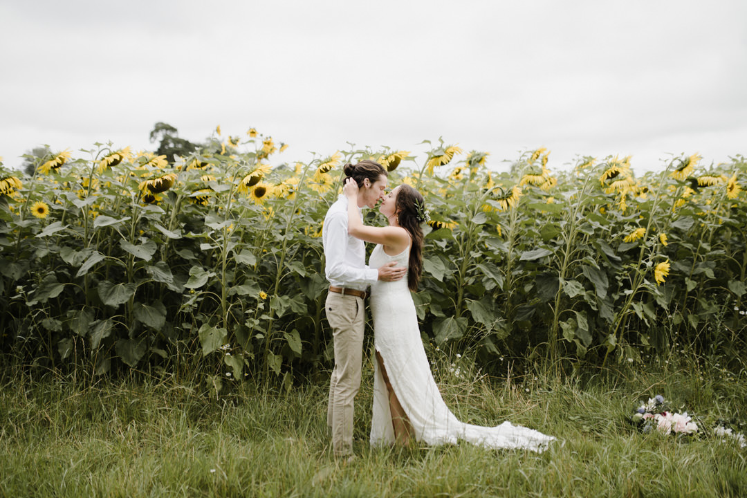 bride and groom kissing in sunflower field during day time