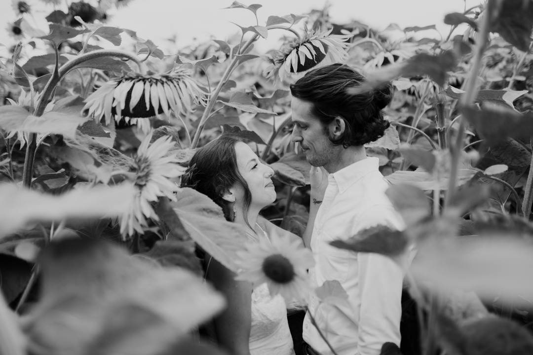 man and women in sunflower field kissing