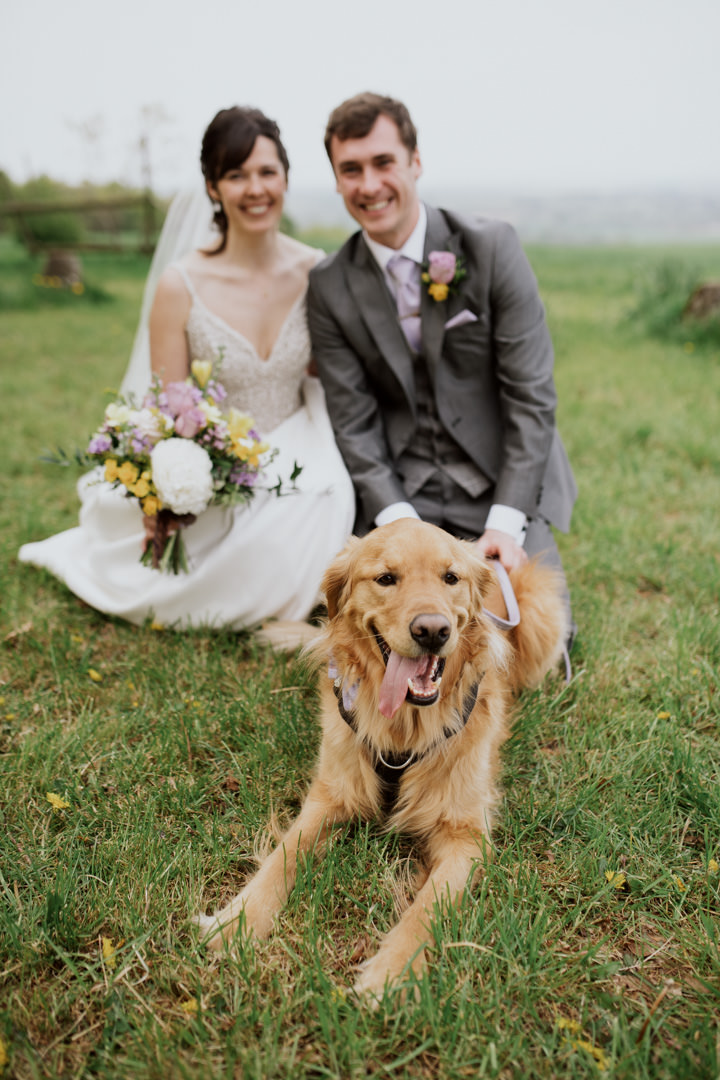 wedding couple with golden retriever dog in field