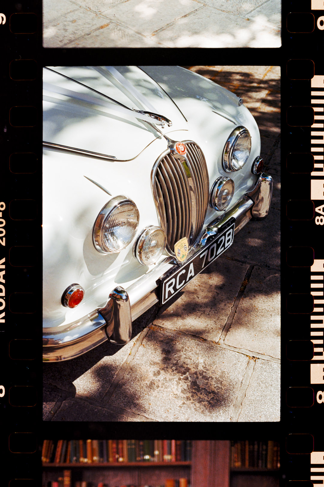 classic jaguar Kodak color plus